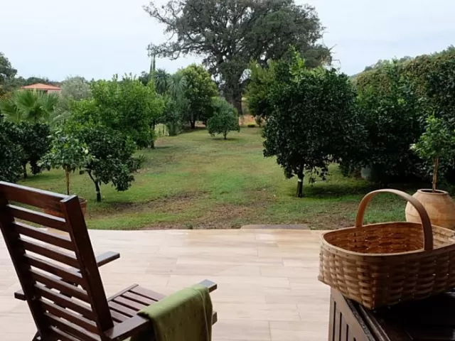 La Sombra del Alcornoque