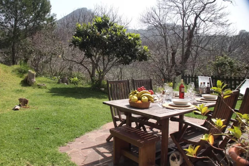 Finca el Roque- Casa Laurisilva