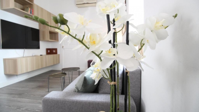 Sala agradable con flores