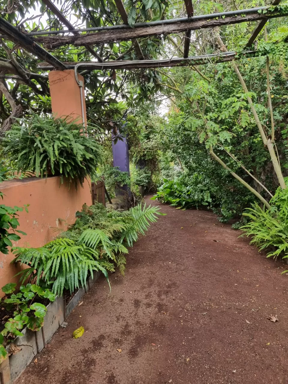 Francisco Javier Morales Reyes in your stay in Casa El Gargujo- ViveloRural 5162_1