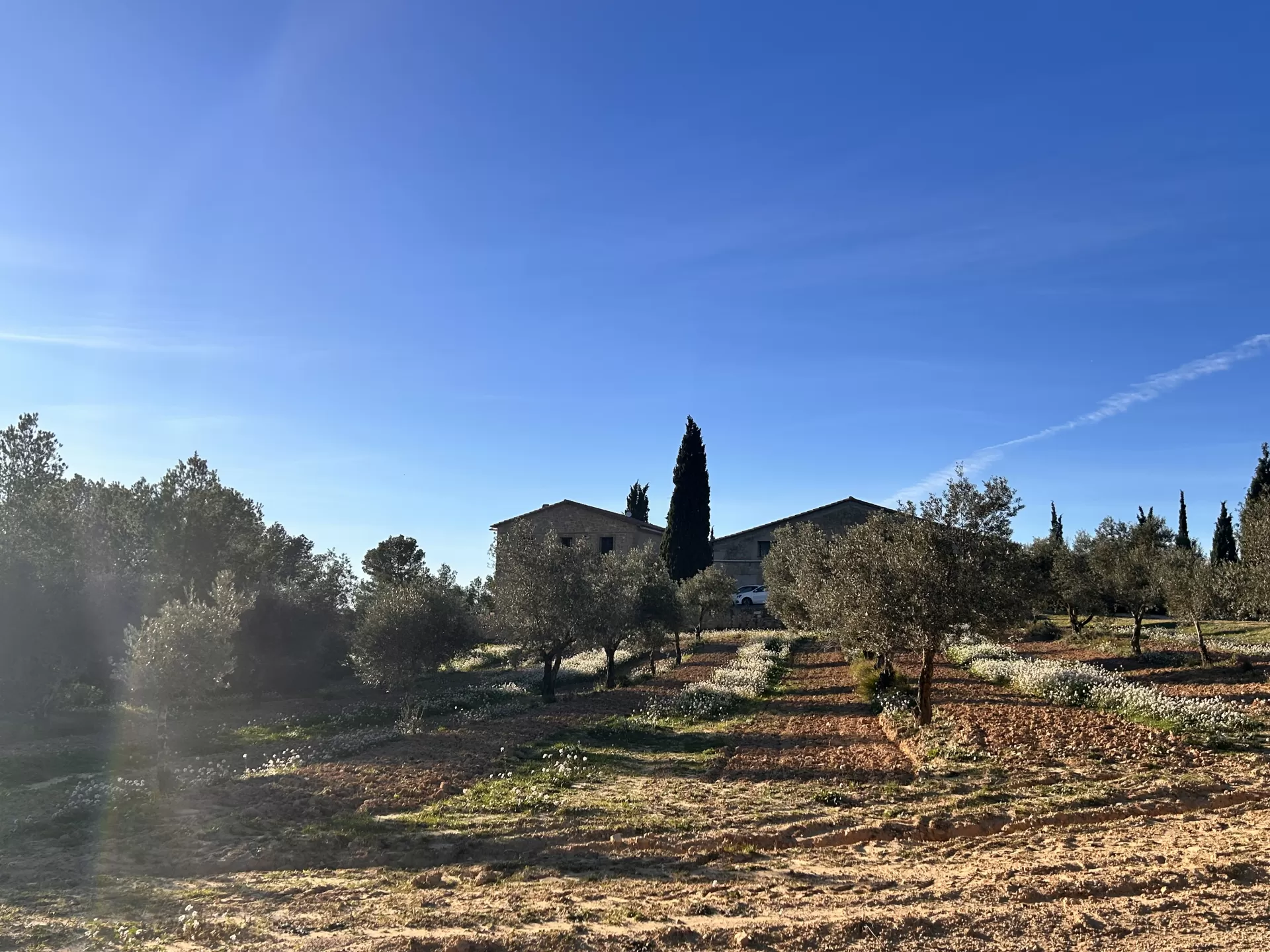 Kena Christel Selva Dafgard en su estacia en Casa Rural Mas María 5526_2