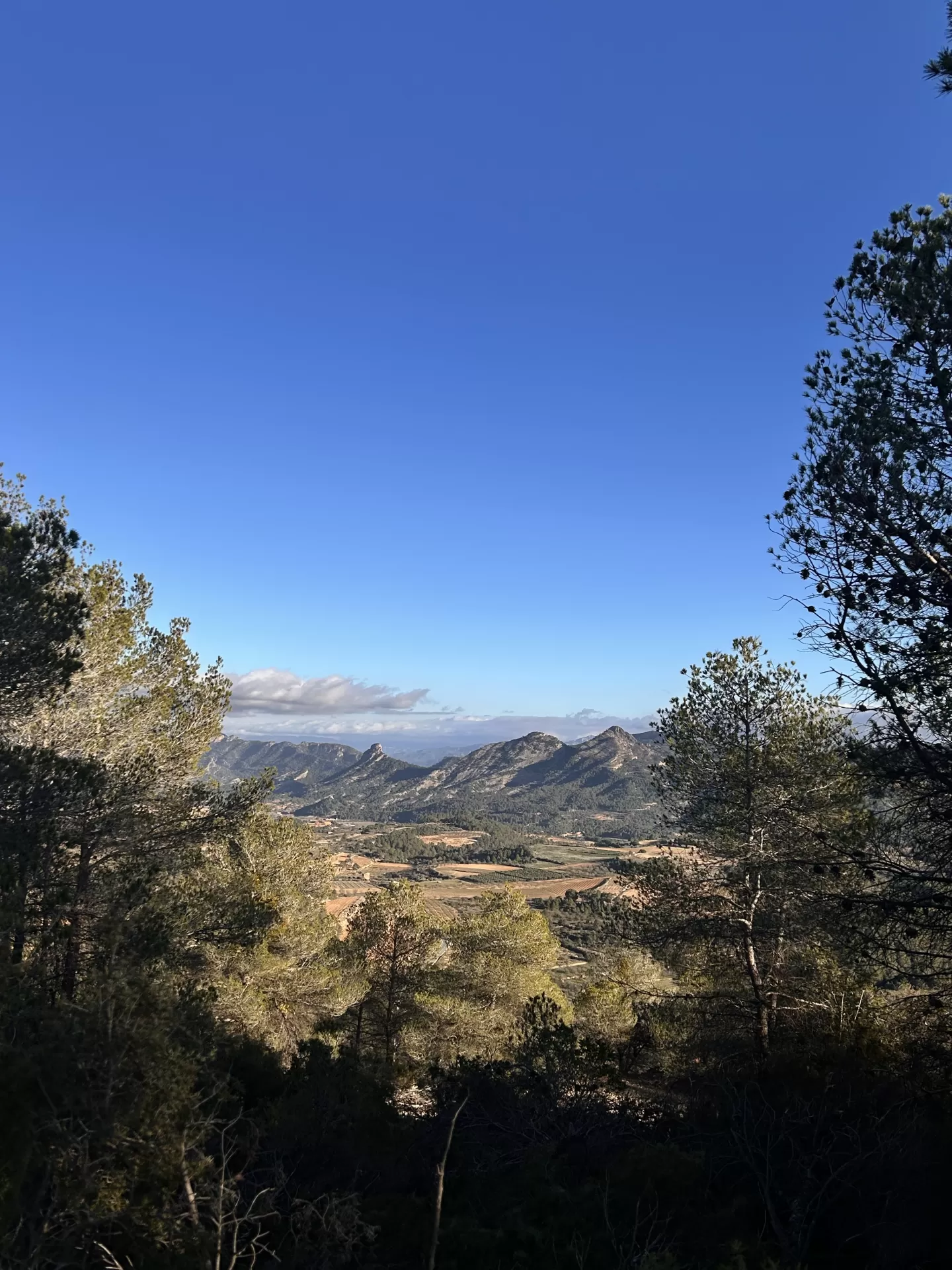 Kena Christel Selva Dafgard en su estacia en Casa Rural Mas María 5526_4