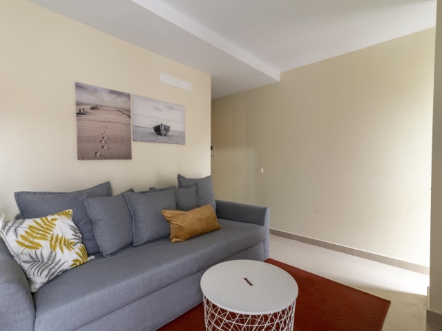 Salon con un sofa gris