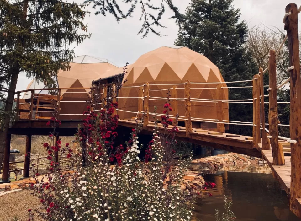 Igloo of the Stars Premium
