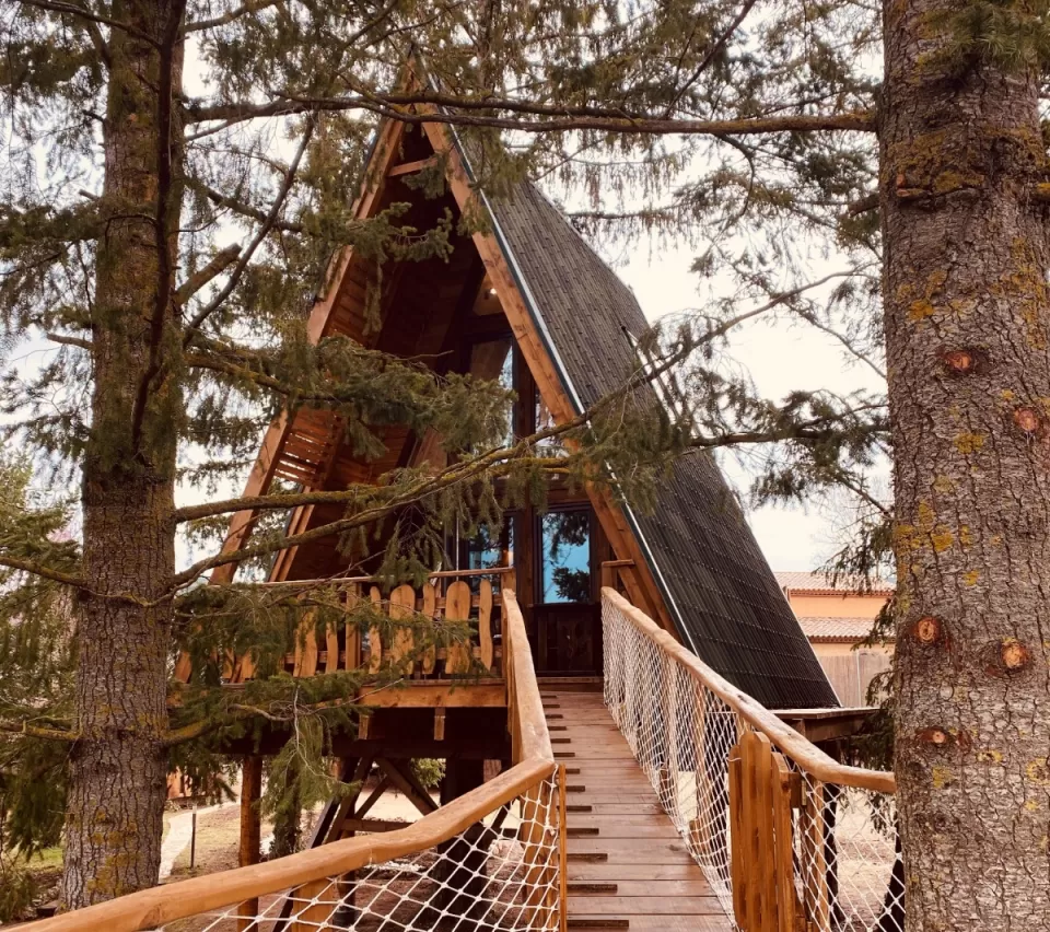 Casas del Árbol Premium