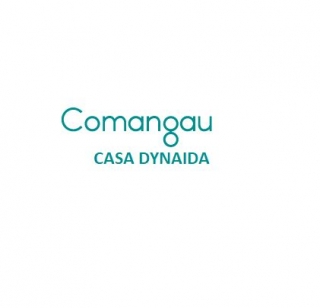 Logo Dynaida