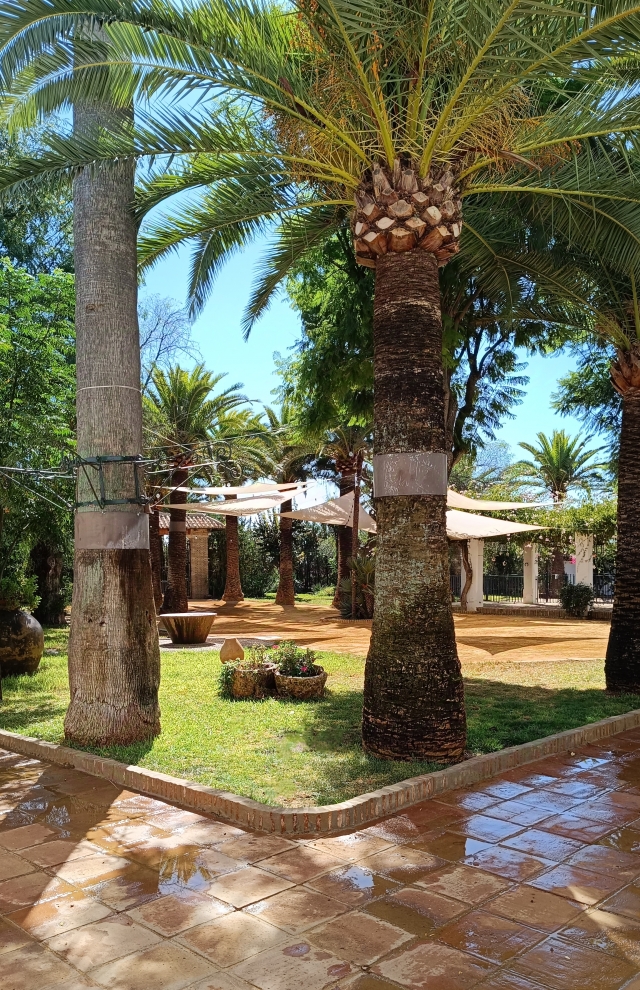 Acceso al cortijo y piscina