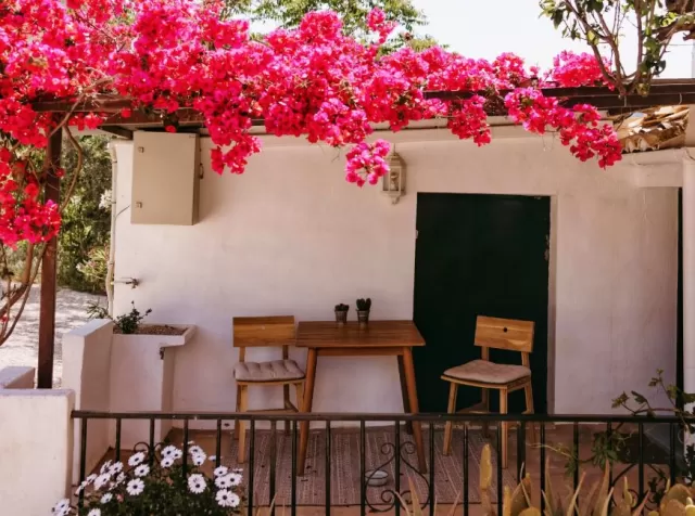 Apartamento Noema
