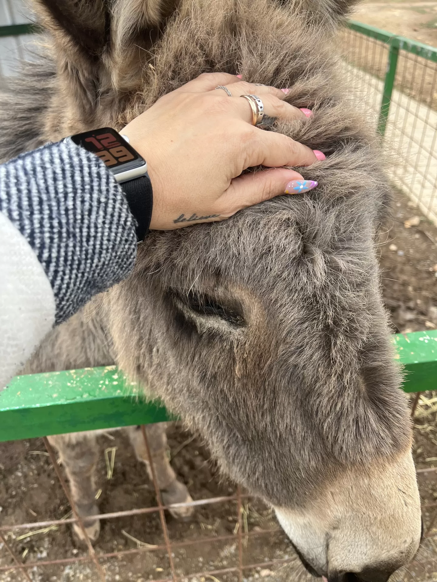 Clara Colomer Angulo en su estacia en El Pla Parque Naturaleza- La Cabaña 4446_1