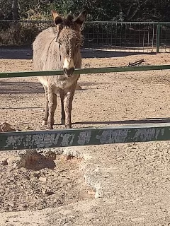 Juan Cardós  en su estacia en El Pla Parque Naturaleza- La Cabaña 4383_3