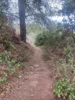 Juan Cardós  en su estacia en El Pla Parque Naturaleza- La Cabaña 4383_6