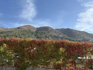 Juan Ramón Fons Sebastiá dans son séjour à La Casita de Pepe 6388_1