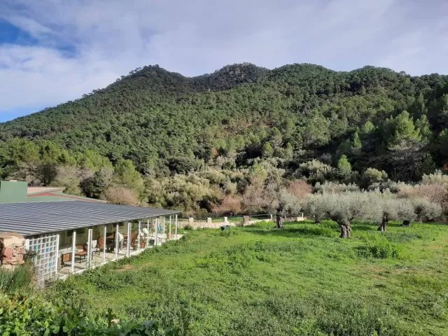 Paraíso Cuántico