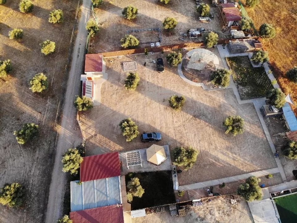 Espacios Únicos- Cuchi Farm