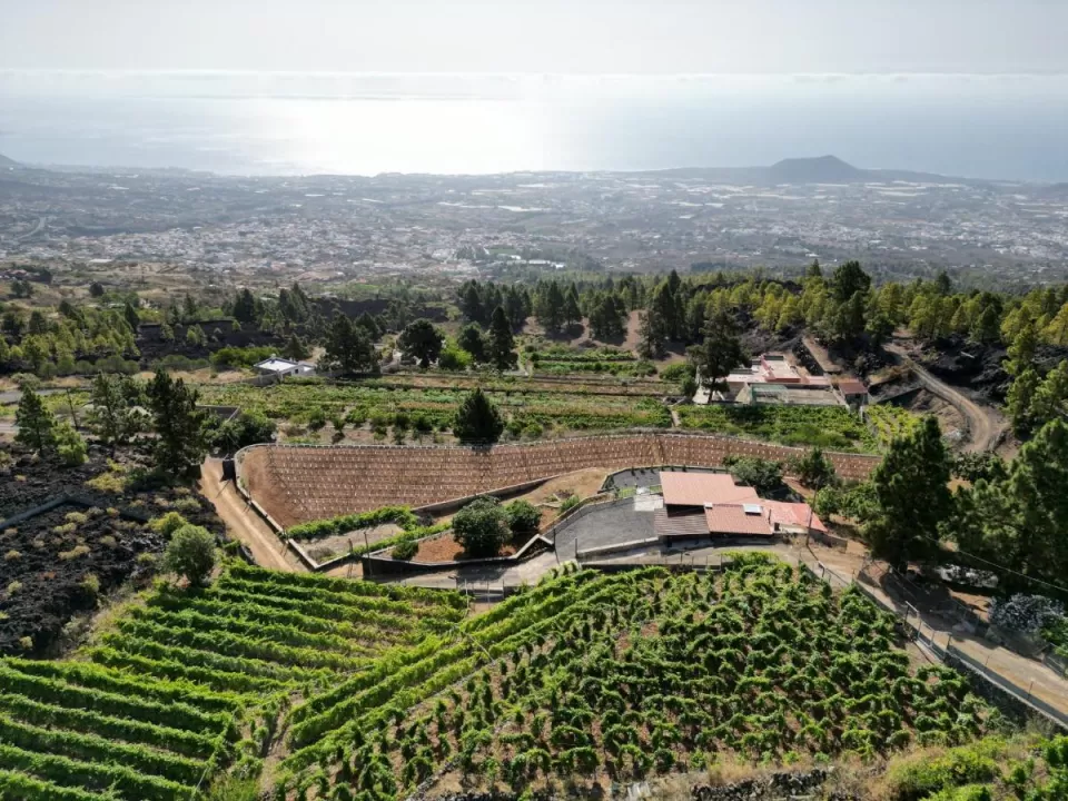 Finca Ecológica Ferrera
