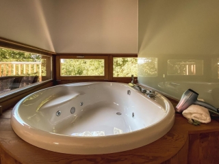 Una cabaña con jacuzzi