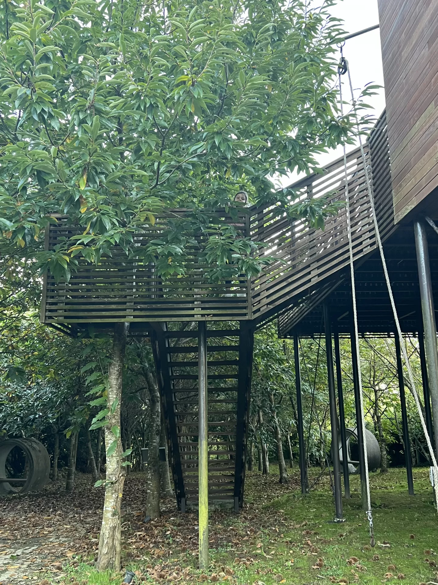 Ana Isabel Vicente Alonso in your stay in Cabañas en el árbol Costa da Morte 5447_4