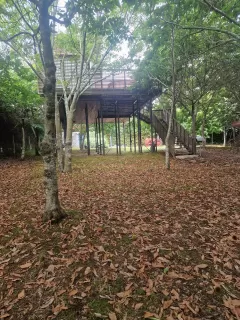 Benito Alonso Rodríguez  in your stay in Cabañas en el árbol Costa da Morte 6984_1