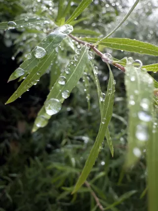 Javier in your stay in Casa Rural Jardín del Río 6492_1