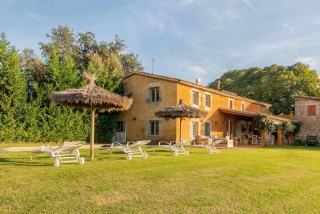Les parasols dans le jardin