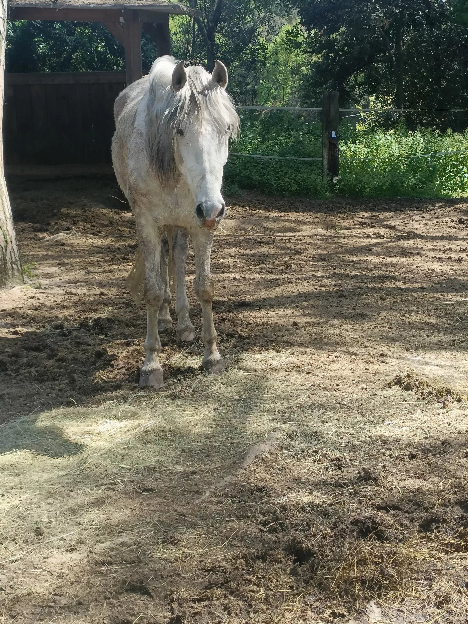 Sandra Rincón Muñoz en su estacia en Masbell Rural- Los Tilos 5830_3