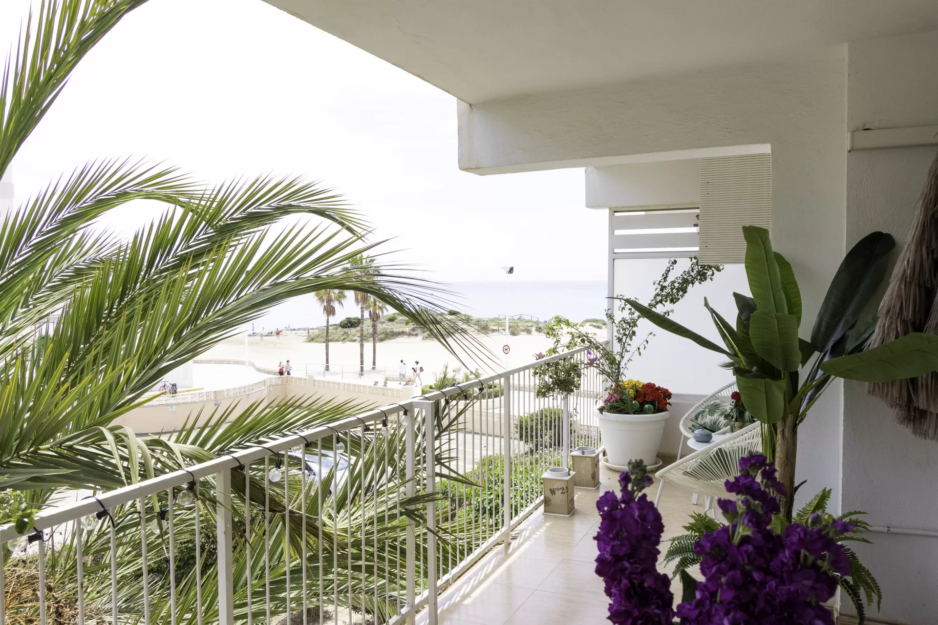 Apartamento Playa Arenal- Grupo Terra de Mar