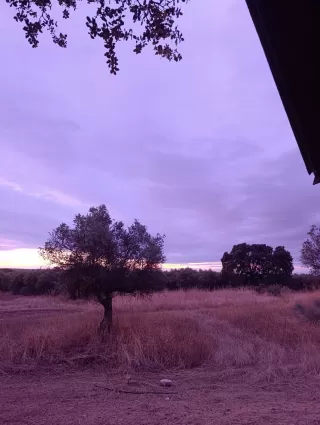 Carmen María Pérez Buendía en su estacia en Finca El Bosque de Ribera 6512_1