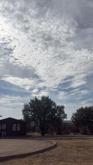 Laura de Gracia Mozo in your stay in Finca El Bosque de Ribera 6401_1