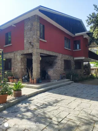 Malopa en su estacia en La Casa de Galapagar- La Pedriza 6265_1