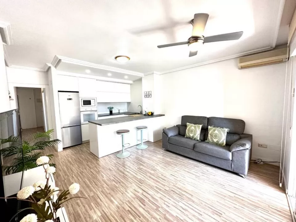 Arenales del Sol Beach Aparment