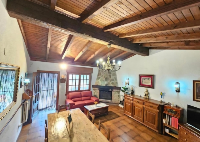 Salon con chimenea