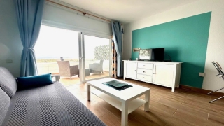 Grand séjour avec accès