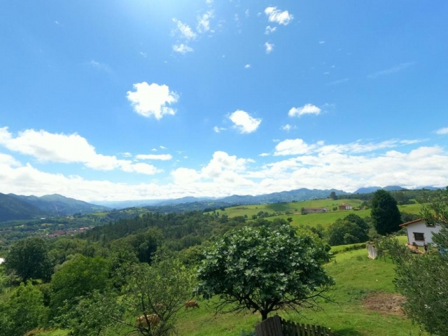 Vistas de las zonas verdes