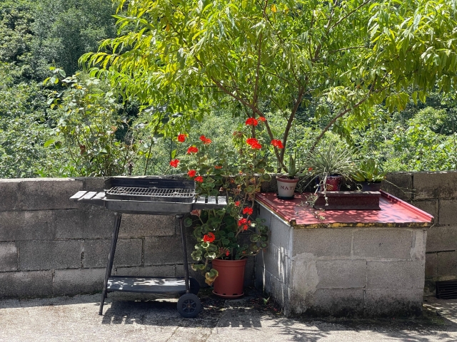 Barbacoa en el exterior