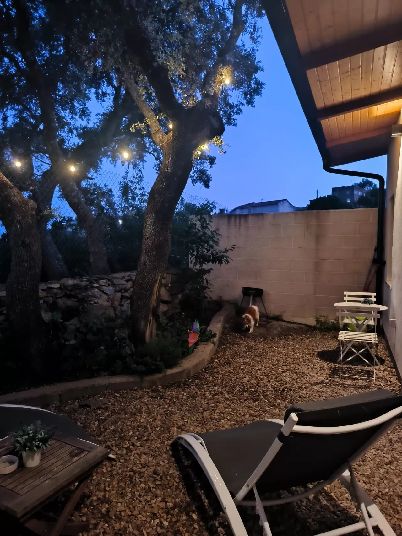 Fernando Gasco Criado in your stay in Bungalow Sierra San Vicente 02 5935_1