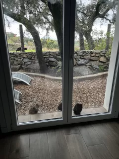 Lauren Velasco Benavides in your stay in Bungalow Sierra San Vicente 02 6559_1