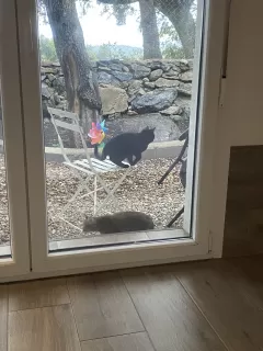 Elena Oliva Elez in your stay in Bungalow Sierra San Vicente 02 6516_2