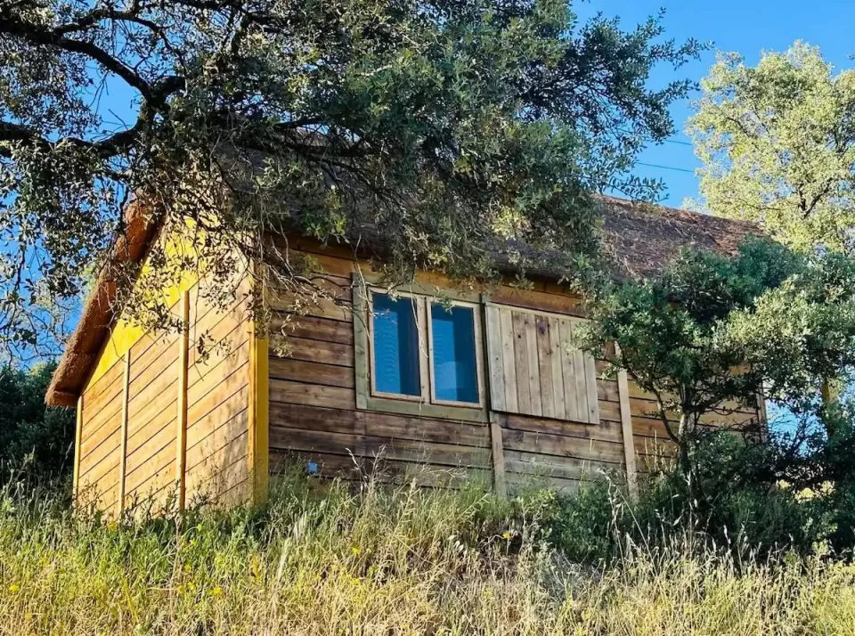 Cabaña 3. Insights