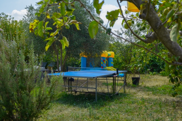 Mesa ping-pong