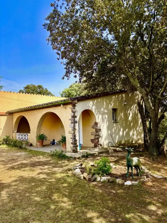 Bosque Apartamento