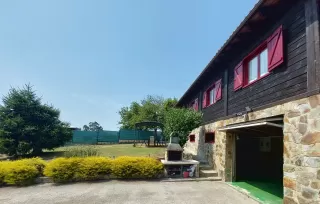 Olivar 51