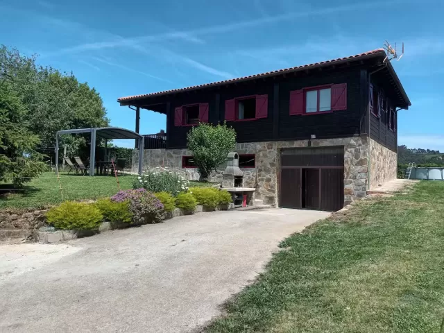 Olivar 51
