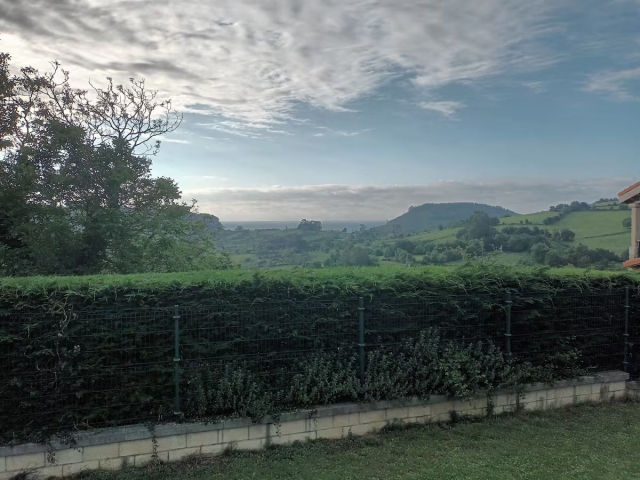 Vistas desde el jardín 