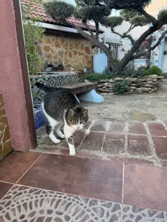 Lluís Garrigues Carbonell en su estacia en Suite Premium 6567_2