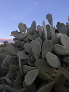 Lluís Garrigues Carbonell en su estacia en Suite Premium 6567_3