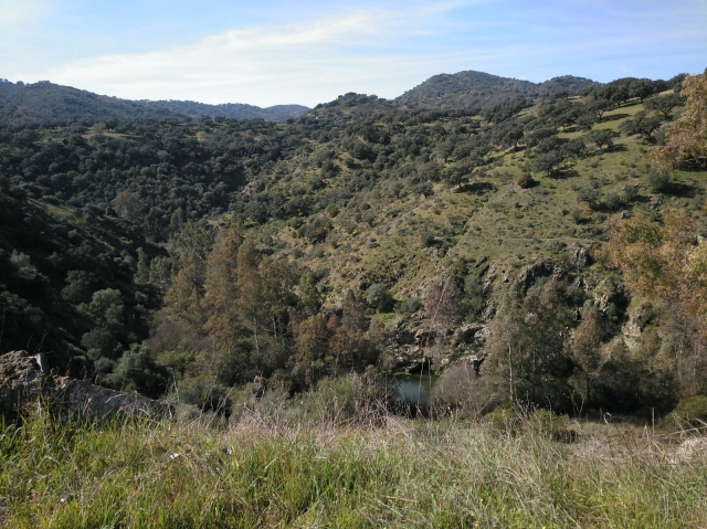 Naturaleza