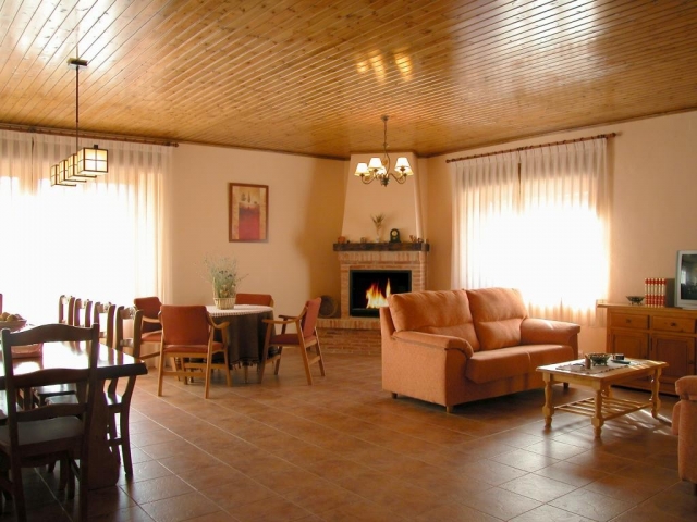 Sala agradable y chimenea 