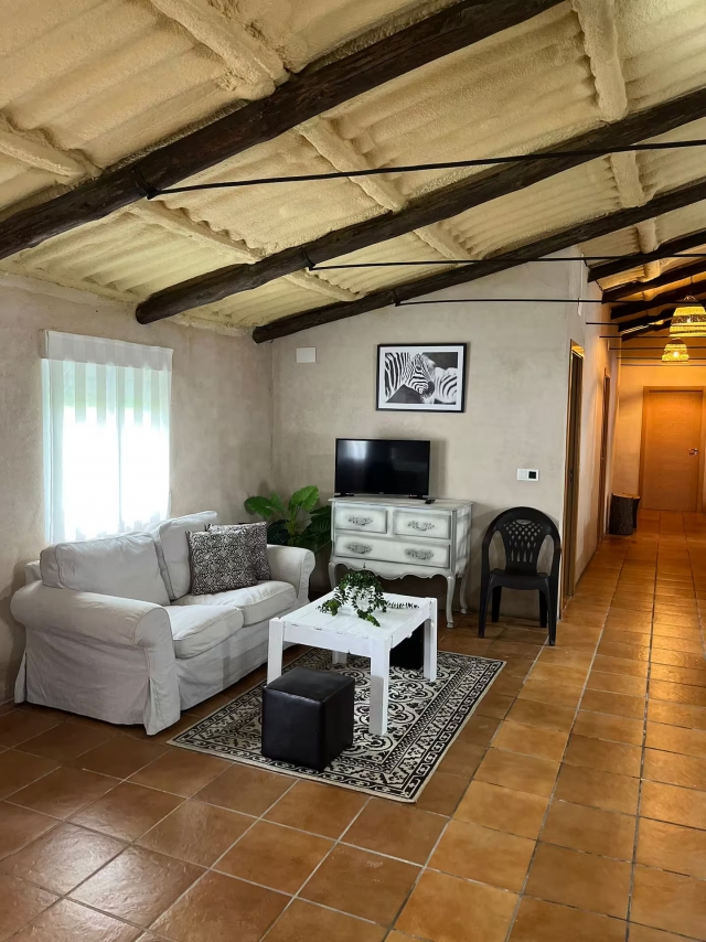 Sala amplia con sofa y tele
