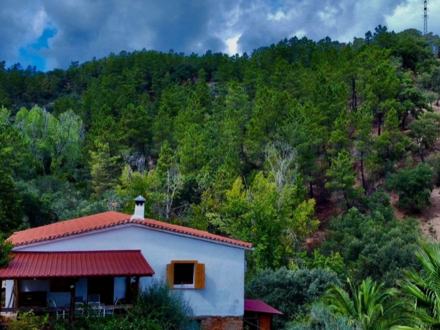 Amplio bosque alrededor