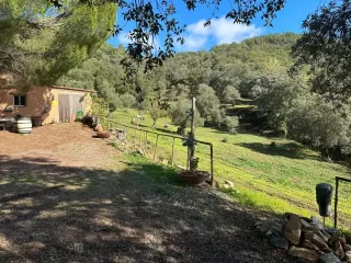 Finca Montecristo